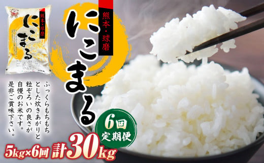 【定期便6回】にこまる5kg×1袋