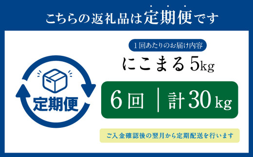 【定期便6回】にこまる5kg×1袋