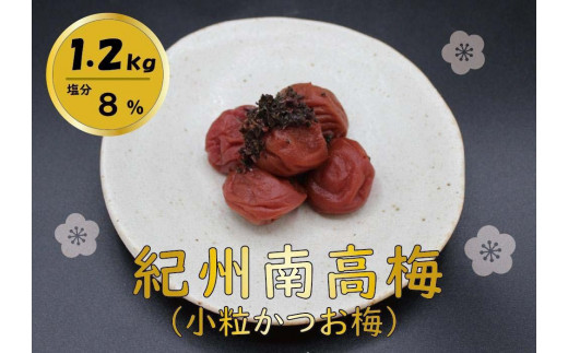 紀州綜合食品 紀州南高梅 小粒かつお味1.2kg 塩分8% 梅干し