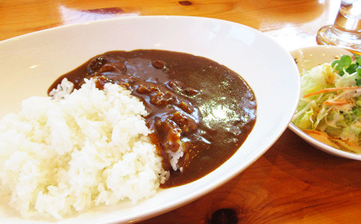 ご当地カントリーロードのカレー【甘口・辛口　各3袋】［徳島 那賀 カレー カレーライス カントリーロード 濃厚 コク スパイス 絶妙 フルーツ 野菜 美味しい うまい 癖になる おススメ お試し 甘口 辛口 母の日 父の日 お中元 お歳暮 自宅用 家庭用 プレゼント ギフト 贈物］【CR-1】