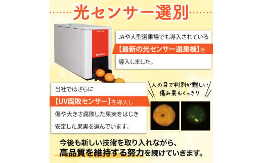 【2024年11月発送予約分】＼光センサー選別／農家直送 こだわりの完熟有田みかん 約8kg＋250g(傷み補償分) 【ご家庭用】【11月発送】【nuk100-1E】