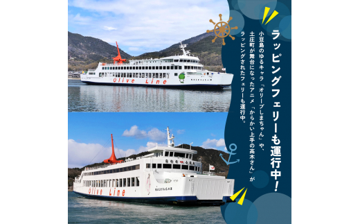 小豆島への旅行に！フェリー往復チケット（乗用車+同乗者1名）【高松港～土庄港】 フェリー 乗船券 往復 船 船旅 土庄 チケット 瀬戸内海