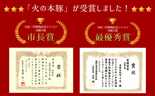 火の本豚 ボロニアソーセージ（500ｇ×3本セット） | 熊本県 熊本 くまもと 和水町 なごみ 豚肉 肉 地域ブランド ボロニアソーセージ ソーセージ 加工品 冷凍