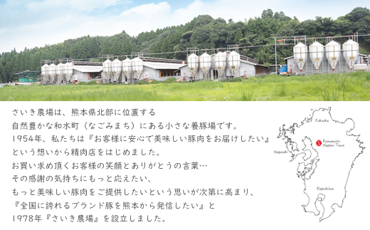 火の本豚 ボロニアソーセージ（500ｇ×3本セット） | 熊本県 熊本 くまもと 和水町 なごみ 豚肉 肉 地域ブランド ボロニアソーセージ ソーセージ 加工品 冷凍