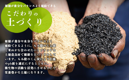 【先行受付】2024年産(令和6年産)新米「きりしまのゆめ」ヒノヒカリ12kg 霧島湧水が育む減農薬栽培のお米（特別栽培米・無洗米・真空チャック式） TF0629-P00026