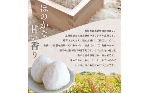 信州米 4銘柄 食べ比べ 20kg 長野県産 [ こしひかり ミルキークイーン あきたこまち 風さやか ] 各 5kg l 米 こめ 銘柄 単一米 各5kg コシヒカリ ミルキークイーン アキタコマチ 風さやか 信州 食べ比べ 長野 合計 20kg