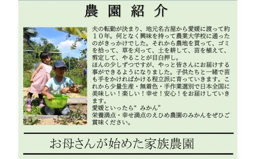 ＜産地直送＞【数量限定】みかん「愛果28号」サイズ不揃い3キロ家庭用 12月中旬頃～順次発送【訳あり ふぞろい 甘い みかん 愛媛】[№5310-0247]