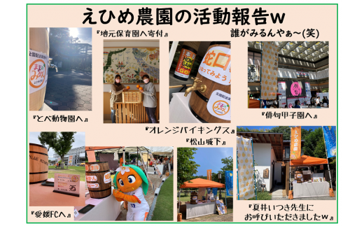 ＜産地直送＞【数量限定】みかん「愛果28号」サイズ不揃い3キロ家庭用 12月中旬頃～順次発送【訳あり ふぞろい 甘い みかん 愛媛】[№5310-0247]