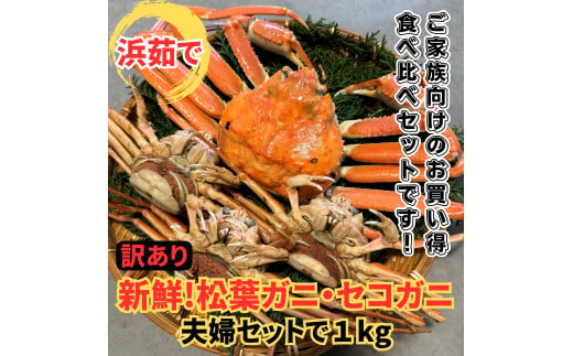 【訳あり】浜茹で！松葉ガニ・セコガニ1kgセット 鳥取網代港 岩美 松葉がに ずわいがに かに カニ 日本海 せこがに ズワイガニ【さかなや新鮮組】【22033】