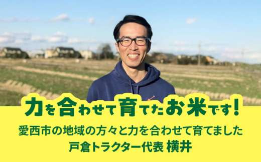 【12回定期便】にこまる　白米　10kg　お米　ご飯　愛西市／株式会社戸倉トラクター [AECS063]