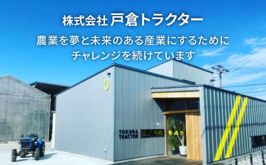 【12回定期便】にこまる　白米　10kg　お米　ご飯　愛西市／株式会社戸倉トラクター [AECS063]