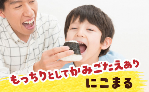 【12回定期便】にこまる　白米　10kg　お米　ご飯　愛西市／株式会社戸倉トラクター [AECS063]