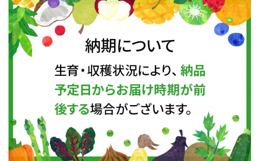 アールスメロン 2玉(3kg～4kg) 山形県産 【2024年9月上旬～9月下旬に順次発送予定】