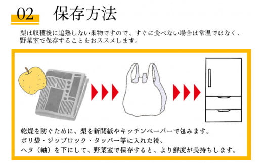 BH004 【令和7年度出荷分】【数量限定】 幸水梨 約2.5kg（5玉～8玉）[新鮮 農家直送 夏の味覚 贅沢宝庫 フルーツ]