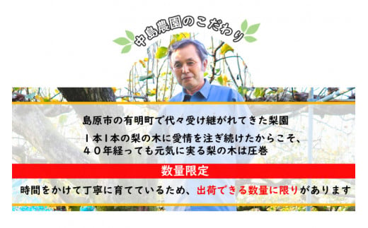 BH004 【令和7年度出荷分】【数量限定】 幸水梨 約2.5kg（5玉～8玉）[新鮮 農家直送 夏の味覚 贅沢宝庫 フルーツ]