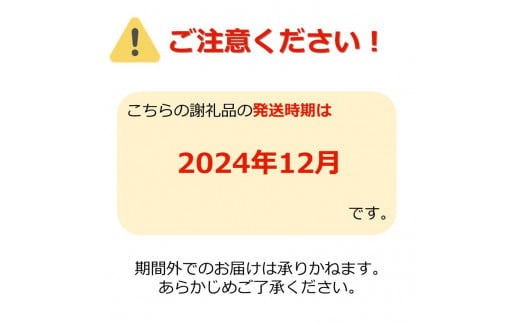 【2024年12月発送】山形の洋梨「シルバーベル」約3kg_H090(R6)