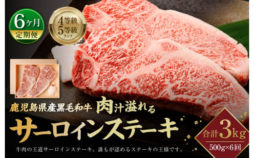 【6ヶ月定期便】鹿児島県産黒毛和牛 肉汁溢れるサーロインステーキ