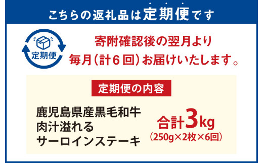 【6ヶ月定期便】鹿児島県産黒毛和牛 肉汁溢れるサーロインステーキ