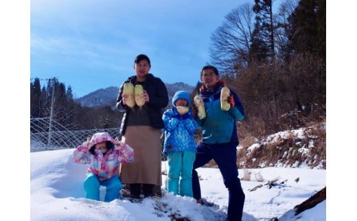 【先行予約】飛騨 山之村の清水さんちの「切り干し大根」　40g×2パック 切干大根 [A0123ch3wx] 