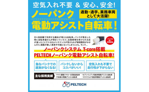 PELTECH（ペルテック）ノーパンク 折り畳み電動アシスト自転車 20インチ 折り畳み外装6段変速（TDN-208LN）【簡易組立必要】【マットブラック】