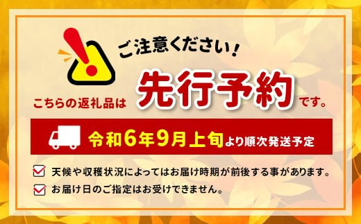 2024年発送　シャインマスカット＆ナガノパープル 3㎏（各3房/計6房）家庭用 | 果物 くだもの フルーツ シャインマスカット ナガノパープル 種無 人気 長野県 千曲市