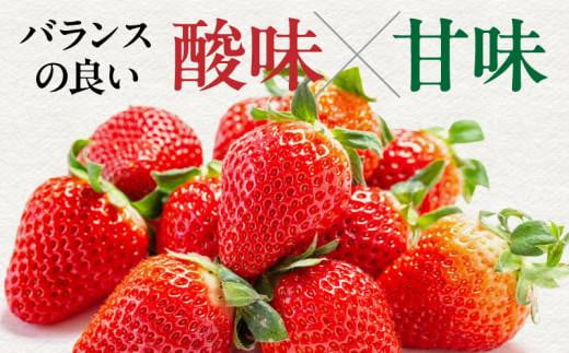 高松市産いちご食べ比べセット 約2kg【2025-1月上旬～2025-5月中旬配送】