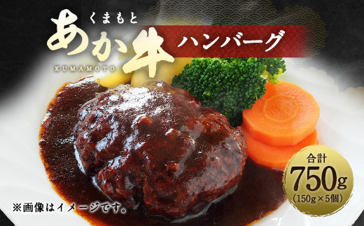 くまもと あか牛 ハンバーグ （150g×5個） 牛肉 ひき肉