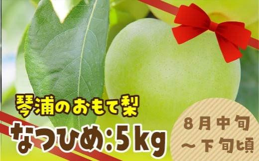 数量限定 鳥取県産梨 なつひめ 5kg（12～14玉）