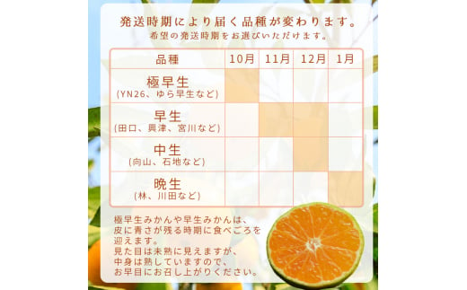 【10月発送】ご家庭用 有田みかん 和歌山 S～Lサイズ 大きさお任せ 3kg / みかん フルーツ 果物 くだもの 有田みかん 蜜柑 柑橘【ktn006A-10】