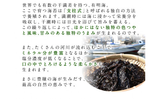 荒尾市・海苔の若新 千両箱《黒帯くん(天草の塩味)・黒帯くん(味付け)》《30日以内に出荷予定(土日祝除く)》有明海産