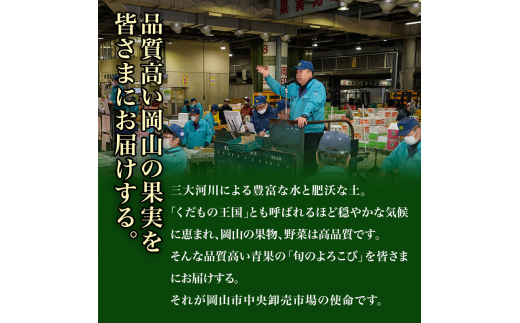 フルーツ 定期便 2024年 先行予約 フルーツ王国 岡山を堪能 5回コース 桃 もも 葡萄 ぶどう 梨 なし岡山県産 国産 果物 セット ギフト