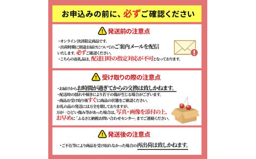 [先行受付] さくらんぼ 佐藤錦 300g×2P Lサイズ 北海道 仁木町［カムナビファーム］【 サクランボ 果物 フルーツ チェリー 】