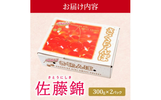 [先行受付] さくらんぼ 佐藤錦 300g×2P Lサイズ 北海道 仁木町［カムナビファーム］【 サクランボ 果物 フルーツ チェリー 】