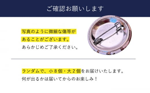 【12/1入金まで年内発送】お楽しみちかまるくん缶バッジセット（ランダム10個入り） [DAB042]