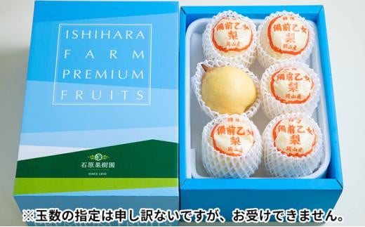 【終了】梨 2024年 先行予約 備前乙女梨（鴨梨） 5～6玉入り（3kg以上）贈答箱 ナシ なし 岡山県産 国産 フルーツ 果物 ギフト 石原果樹園