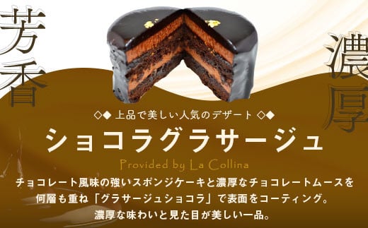 チョコレートケーキ　ショコラグラサージュ　ミニ5個セット