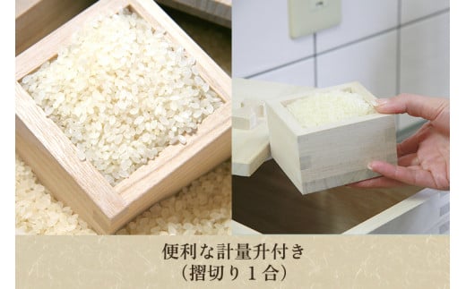 桐米びつ 20㎏ 《幅22×高さ39×奥行き47（cm）》計量枡付き 職人が作る米櫃 お米 保管 スリム 保存 防虫 防湿 キッチン シンク下 米 ライスストッカー 桐 木製 キッチン用品 加茂市 桐の蔵