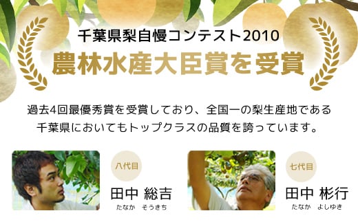 農家直送 大玉 王秋 梨 5kg  / ふるさと納税 フルーツ 果物 なし ナシ 梨 王秋 大玉 数量限定 千葉県 富里市 TMK005