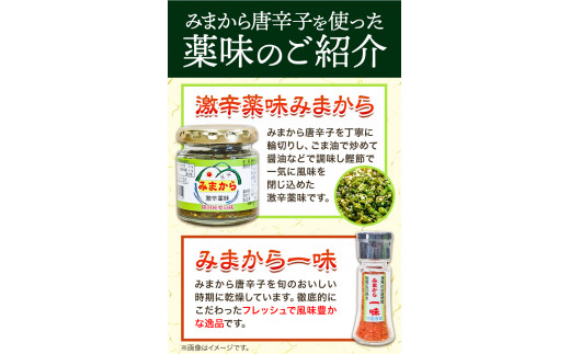 激辛薬味みまから みまから一味 セット 各3個 計6個セット 《30日以内に出荷予定(土日祝除く)》有限会社美馬交流館 徳島県 美馬市 みまから 特産品 美馬市産 青唐辛子 唐辛子 冷奴 ラーメン お鍋 うどん そうめん 送料無料