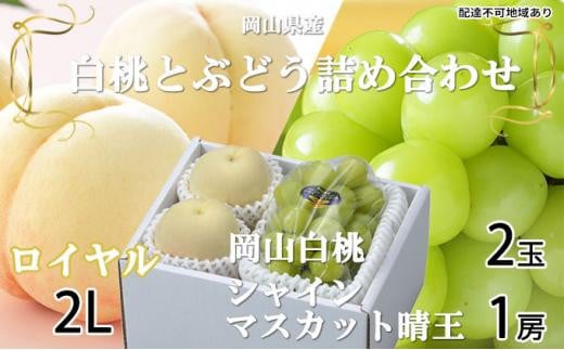 桃 ぶどう 2024年 先行予約 岡山 白桃 ロイヤル 2玉×約250g（2Lサイズ、早生種・中生種） シャイン マスカット 晴王 1房約500g 詰め合わせ 岡山県産 フルーツ