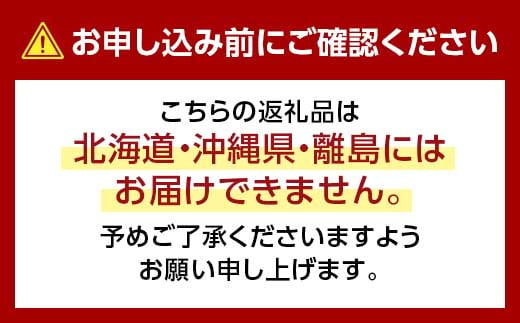 ＜先行受付＞星乃シャインマスカット 数量限定(岡山県産)　2房(1.3kg以上) TY0-0588