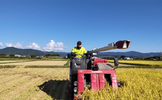 【令和6年産 新米 先行予約】 ミルキークイーン 5kg 《令和6年9月下旬～発送》 『松田観光果樹園』 山形南陽産 米 白米 ご飯 農家直送 山形県 南陽市 [1911-R6]