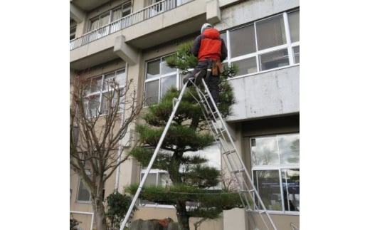 庭木の手入れ＜矢吹町及び周辺地域＞【1462949】