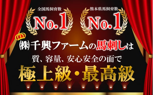 【定期便12回】馬肉応援！くまもと馬肉バラエティ６種 540g | 熊本県 熊本 くまもと 和水町 なごみ 馬肉 馬刺し 赤身 切り落とし コウネ スライス フタエゴ ダイス 線切り ユッケ ネギトロ 馬肉ハンバーグ ハンバーグ タレ ポン酢 和風ソース 定期便 12回