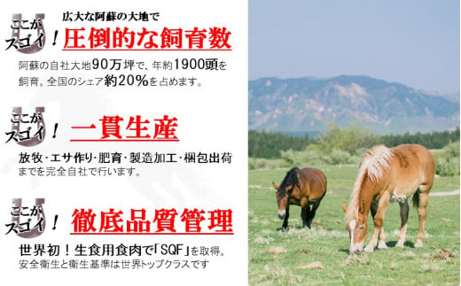 【定期便12回】馬肉応援！くまもと馬肉バラエティ６種 540g | 熊本県 熊本 くまもと 和水町 なごみ 馬肉 馬刺し 赤身 切り落とし コウネ スライス フタエゴ ダイス 線切り ユッケ ネギトロ 馬肉ハンバーグ ハンバーグ タレ ポン酢 和風ソース 定期便 12回