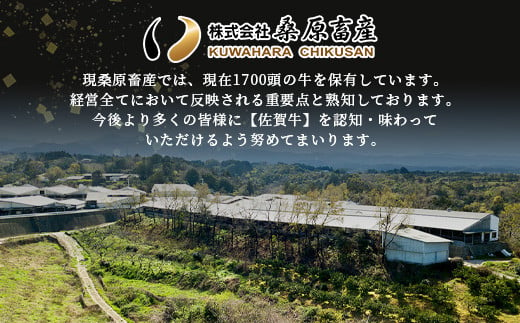 【12月配送】A5等級 佐賀牛 焼肉用 400g【厳選部位】ロース モモ ウデ バラ B-616