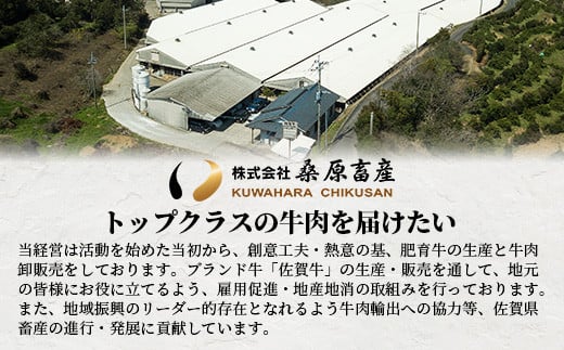 【12月配送】A5等級 佐賀牛 焼肉用 400g【厳選部位】ロース モモ ウデ バラ B-616