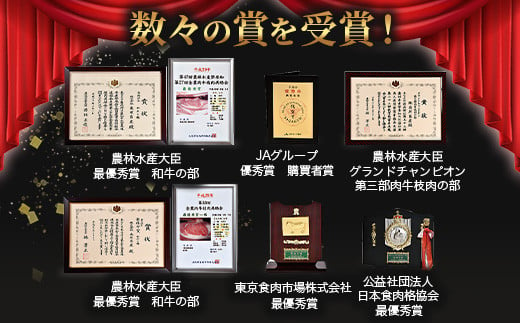 【12月配送】A5等級 佐賀牛 焼肉用 400g【厳選部位】ロース モモ ウデ バラ B-616