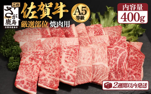 【12月配送】A5等級 佐賀牛 焼肉用 400g【厳選部位】ロース モモ ウデ バラ B-616