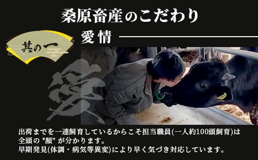 【12月配送】A5等級 佐賀牛 焼肉用 400g【厳選部位】ロース モモ ウデ バラ B-616